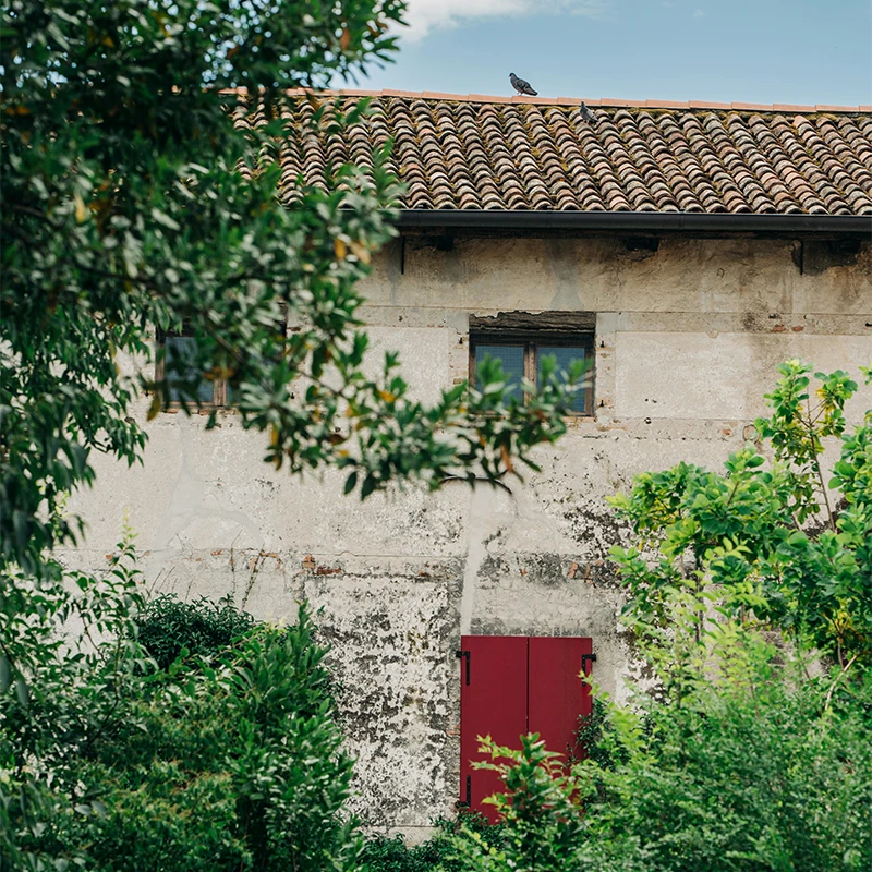 Maison en pleine nature
